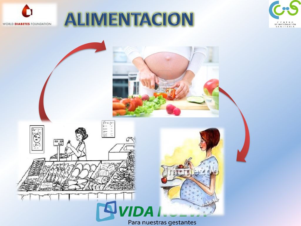 ALIMENTACION La alimentación consiste en la obtención, preparación e ingestión de alimentos.