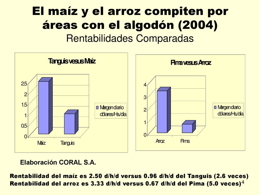 El maíz y el arroz compiten por áreas con el algodón (2004) Rentabilidades Comparadas