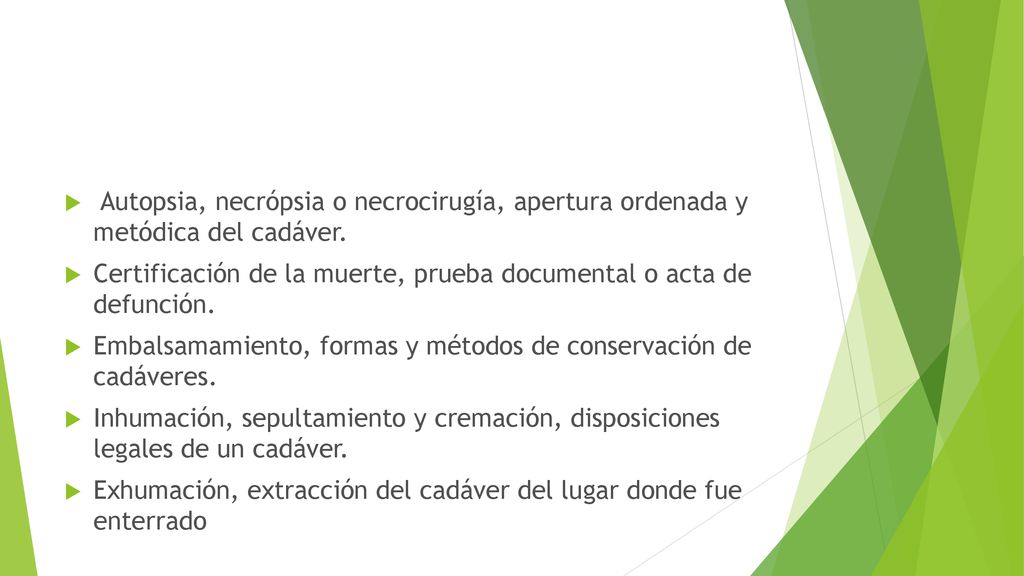 Autopsia, necrópsia o necrocirugía, apertura ordenada y metódica del cadáver.