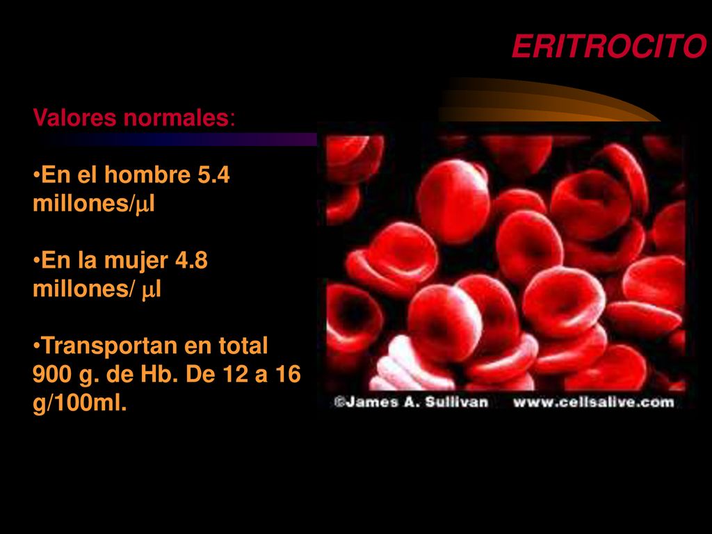 ERITROCITO Valores normales: En el hombre 5.4 millones/l