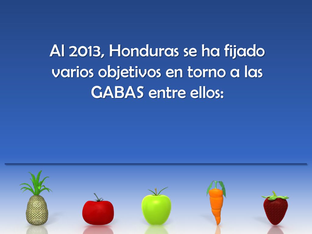 Al 2013, Honduras se ha fijado varios objetivos en torno a las GABAS entre ellos: