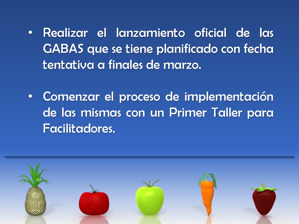 Realizar el lanzamiento oficial de las GABAS que se tiene planificado con fecha tentativa a finales de marzo.