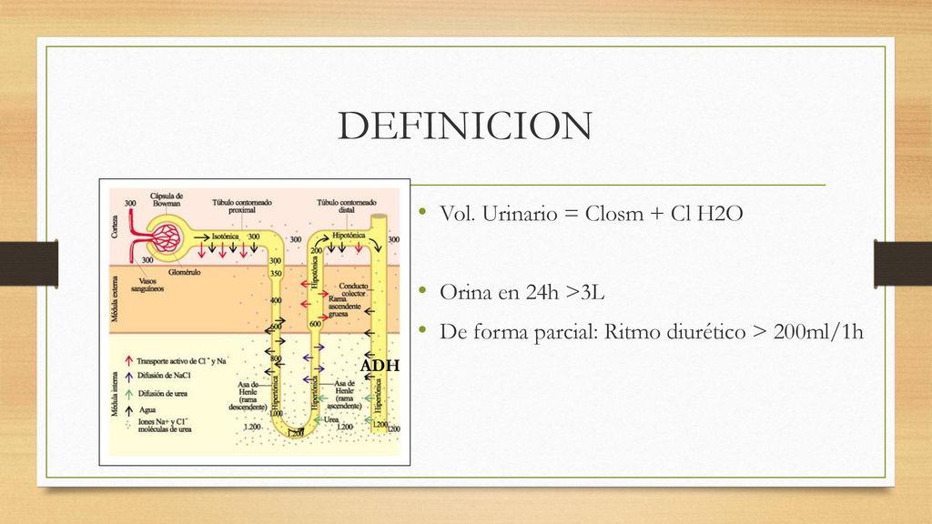 DEFINICION Vol. Urinario = Closm + Cl H2O Orina en 24h >3L