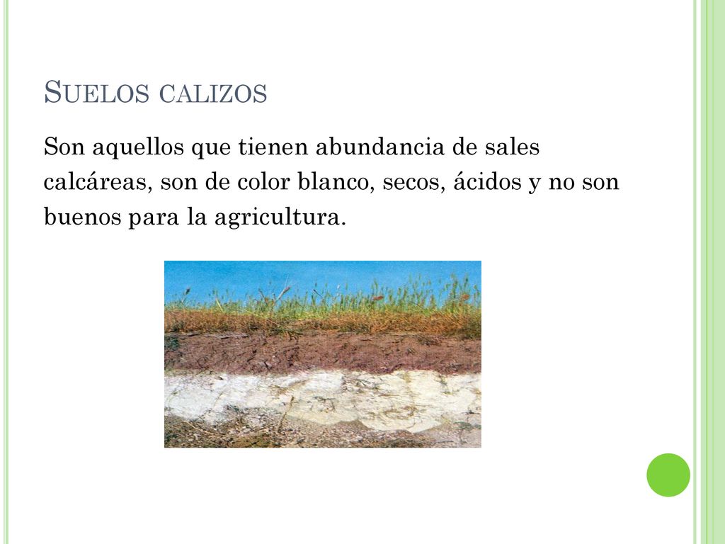 Suelos calizos Son aquellos que tienen abundancia de sales calcáreas, son de color blanco, secos, ácidos y no son buenos para la agricultura.