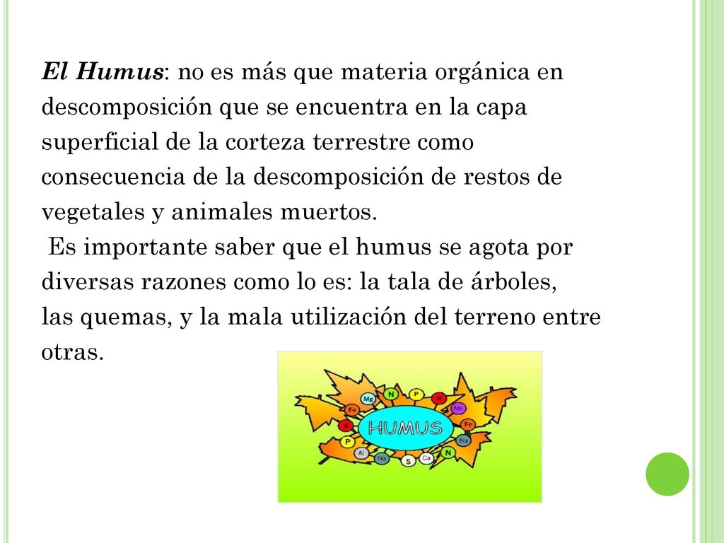 El Humus: no es más que materia orgánica en descomposición que se encuentra en la capa superficial de la corteza terrestre como consecuencia de la descomposición de restos de vegetales y animales muertos.