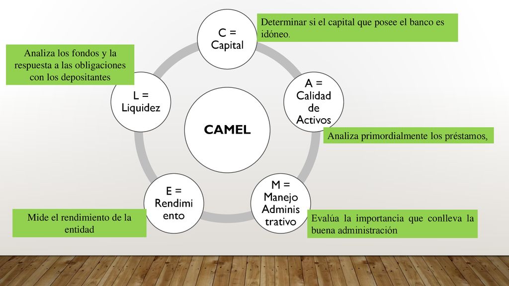 CAMEL C = Capital A = Calidad de Activos L = Liquidez