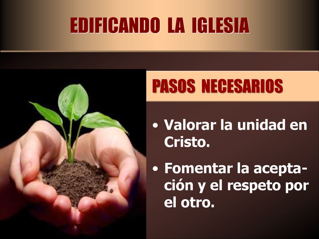EDIFICANDO LA IGLESIA PASOS NECESARIOS Valorar la unidad en Cristo.