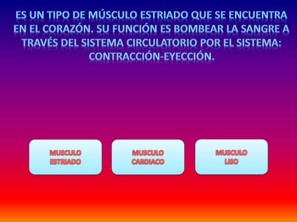 es un tipo de músculo estriado que se encuentra en el corazón