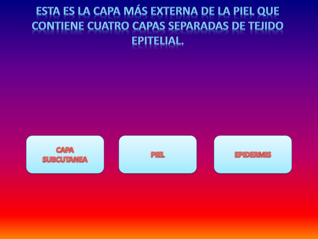 Esta es la capa más externa de la piel que contiene cuatro capas separadas de tejido epitelial.