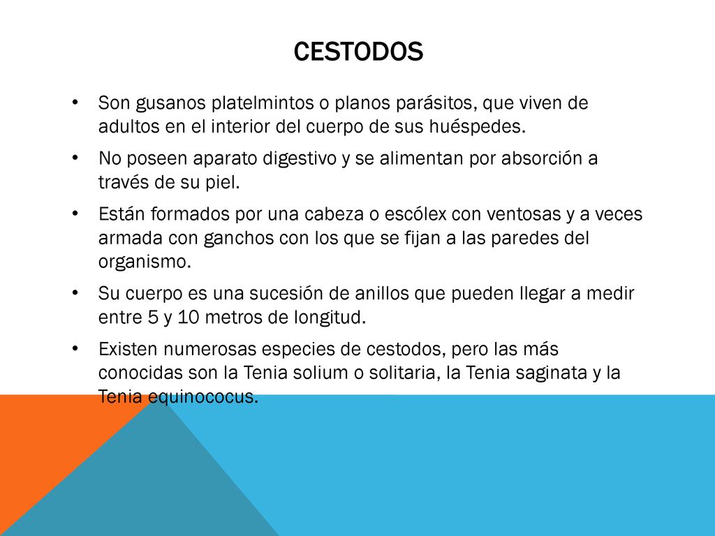 Cestodos Son gusanos platelmintos o planos parásitos, que viven de adultos en el interior del cuerpo de sus huéspedes.