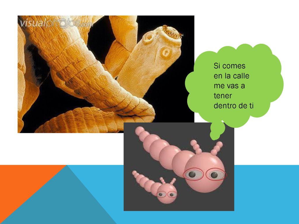 Si comes en la calle me vas a tener dentro de ti