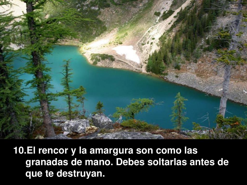 El rencor y la amargura son como las granadas de mano