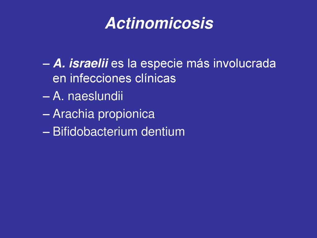 Actinomicosis A. israelii es la especie más involucrada en infecciones clínicas. A. naeslundii. Arachia propionica.