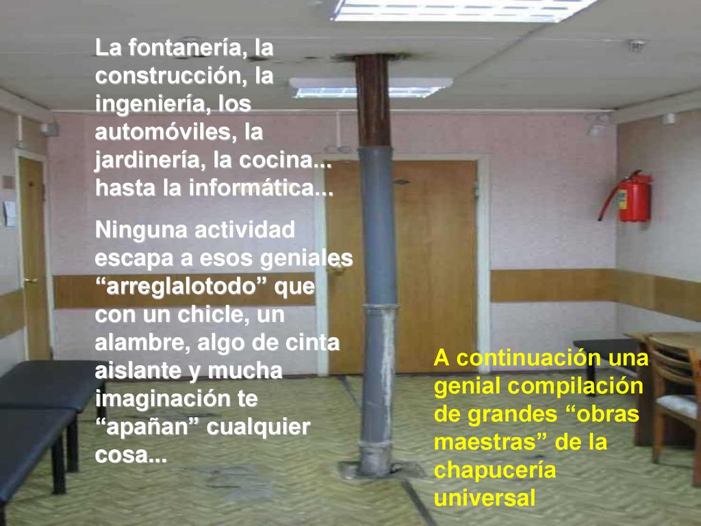 La fontanería, la construcción, la ingeniería, los automóviles, la jardinería, la cocina... hasta la informática...