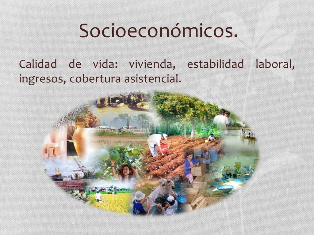 Socioeconómicos. Calidad de vida: vivienda, estabilidad laboral, ingresos, cobertura asistencial.
