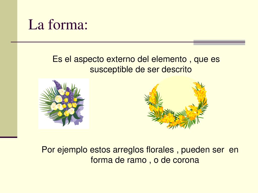 La forma: Es el aspecto externo del elemento , que es susceptible de ser descrito.