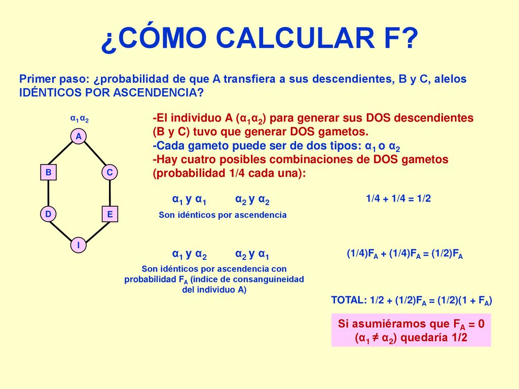 Si asumiéramos que FA = 0 (α1 ≠ α2) quedaría 1/2