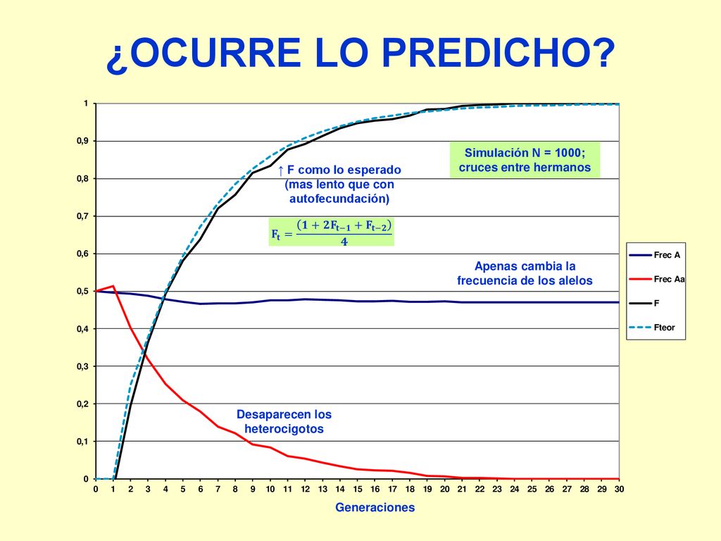 ¿OCURRE LO PREDICHO Simulación N = 1000; cruces entre hermanos