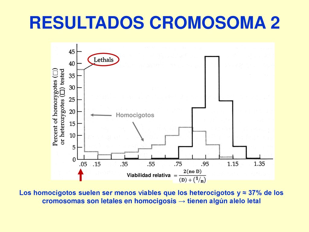 RESULTADOS CROMOSOMA 2 = 𝟐 𝐧𝐨 𝐃 𝐃 + 𝟏 𝐧. Viabilidad relativa. Homocigotos.