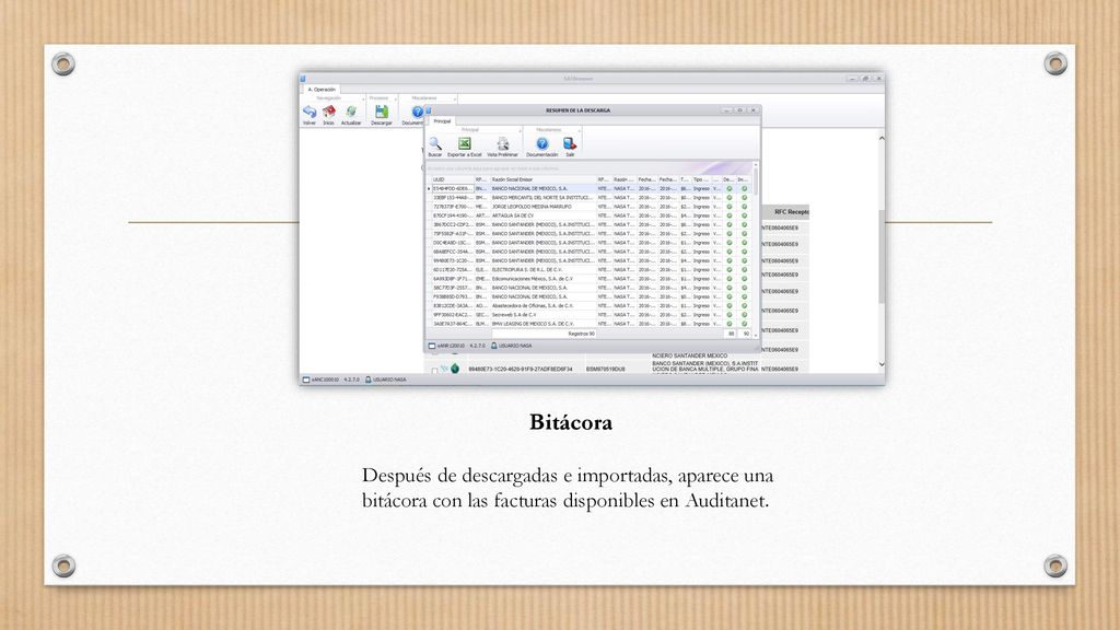 Bitácora Después de descargadas e importadas, aparece una bitácora con las facturas disponibles en Auditanet.