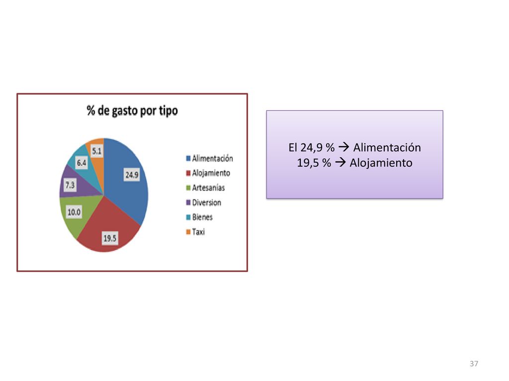 El 24,9 %  Alimentación 19,5 %  Alojamiento