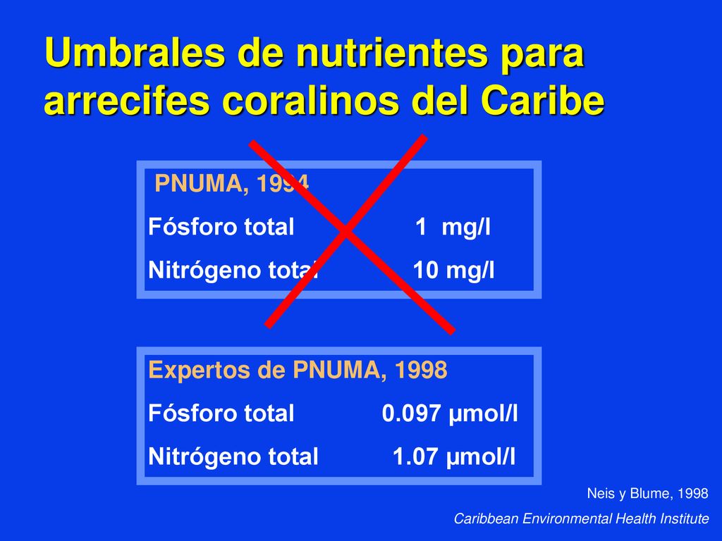 Umbrales de nutrientes para arrecifes coralinos del Caribe