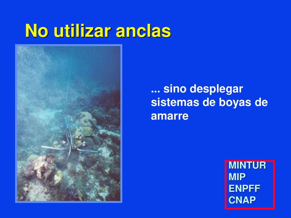 No utilizar anclas ... sino desplegar sistemas de boyas de amarre