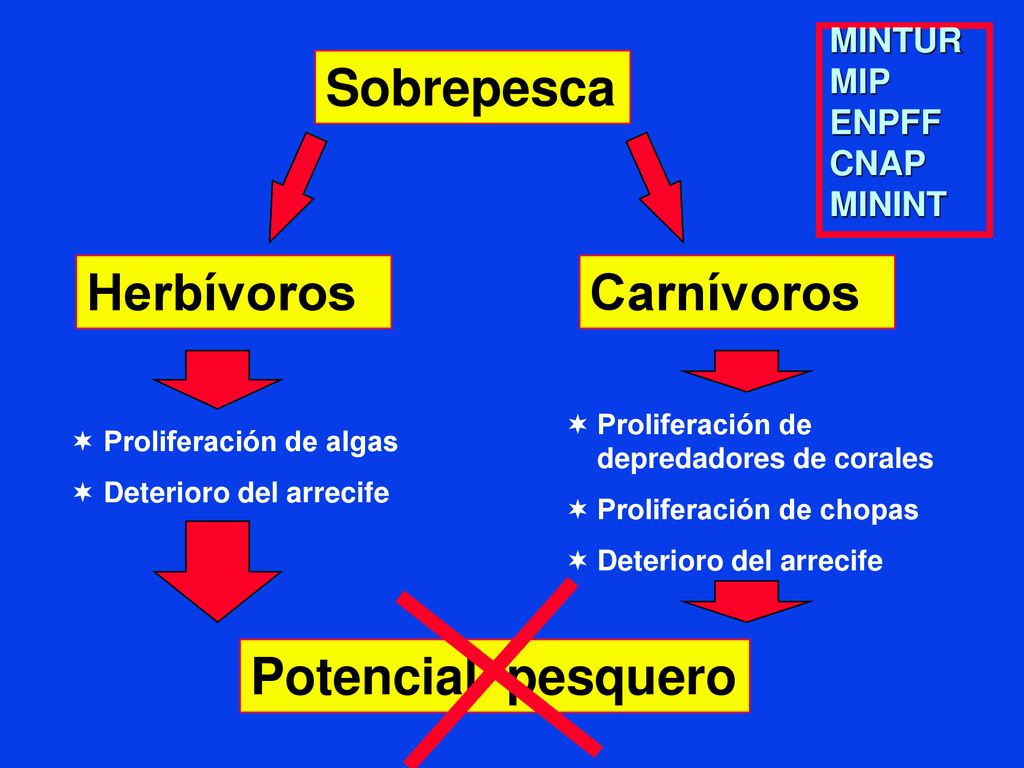 Sobrepesca Herbívoros Carnívoros Potencial pesquero MINTUR MIP ENPFF
