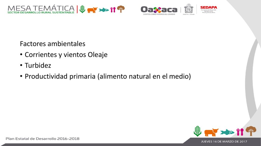 Factores ambientales Corrientes y vientos Oleaje. Turbidez.