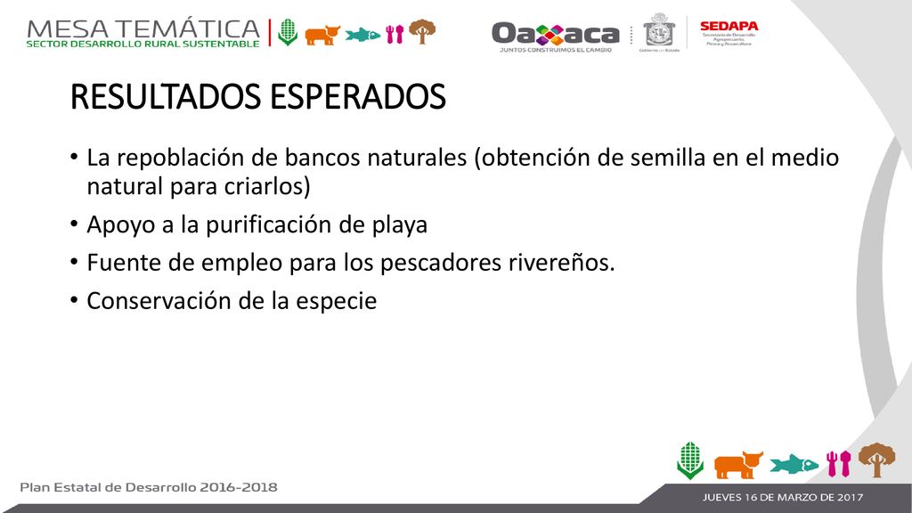 RESULTADOS ESPERADOS La repoblación de bancos naturales (obtención de semilla en el medio natural para criarlos)