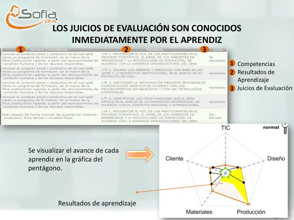 LOS JUICIOS DE EVALUACIÓN SON CONOCIDOS INMEDIATAMENTE POR EL APRENDIZ