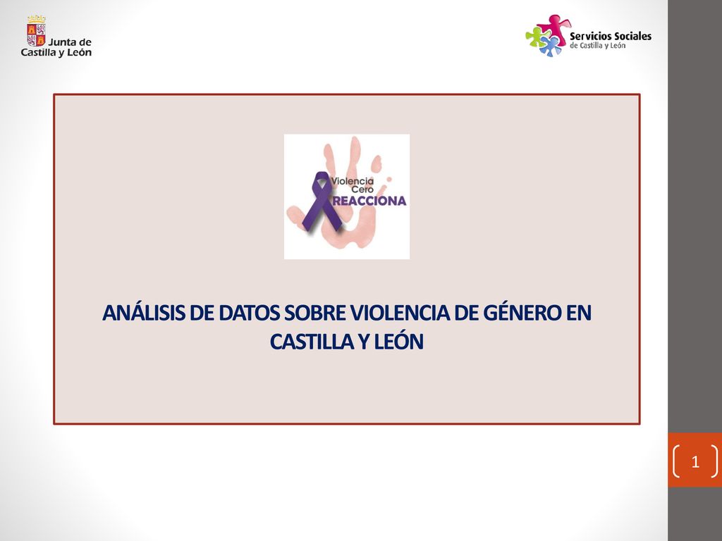 ANÁLISIS DE DATOS SOBRE VIOLENCIA DE GÉNERO EN CASTILLA Y LEÓN