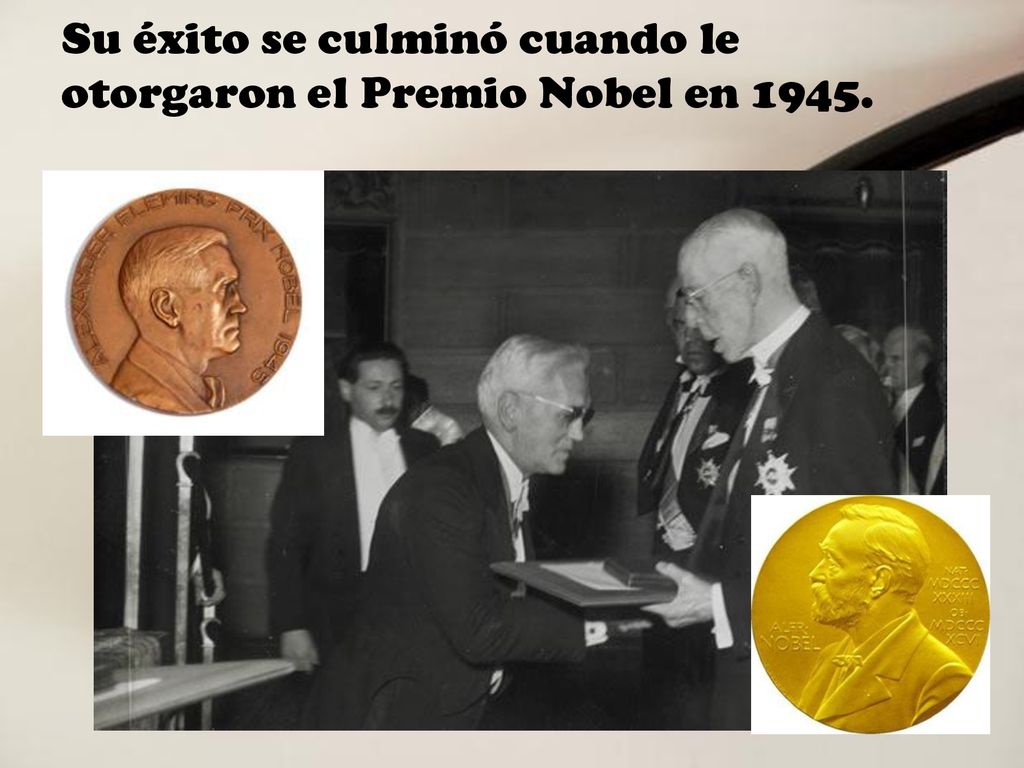 Su éxito se culminó cuando le otorgaron el Premio Nobel en 1945.
