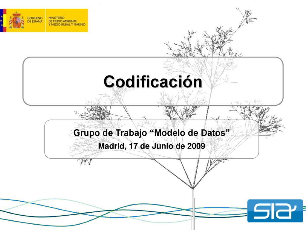 Grupo de Trabajo Modelo de Datos Madrid, 17 de Junio de 2009