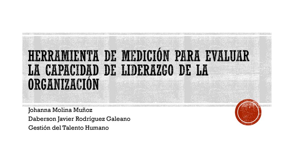 HERRAMIENTA DE MEDICIÓN PARA EVALUAR LA CAPACIDAD DE LIDERAZGO DE LA ORGANIZACIÓN