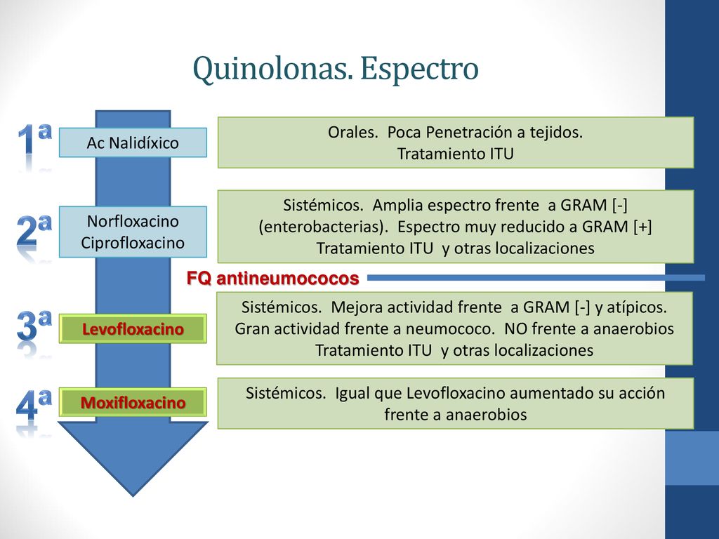 1ª 2ª 3ª 4ª Quinolonas. Espectro Orales. Poca Penetración a tejidos.