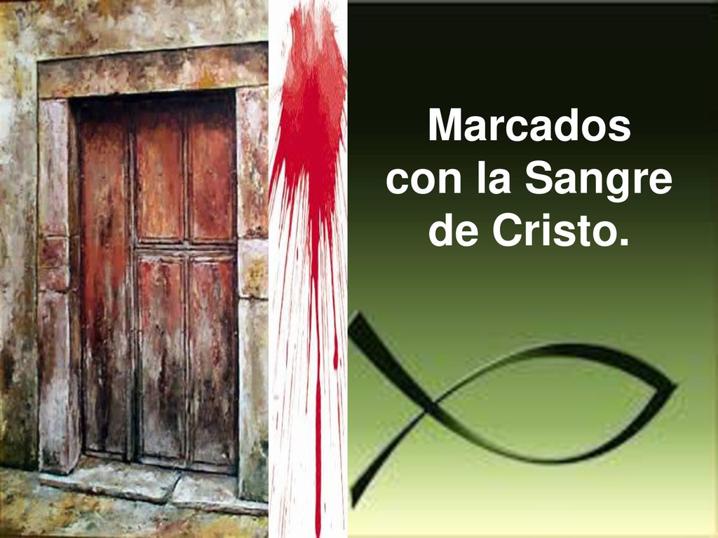 Marcados con la Sangre de Cristo.