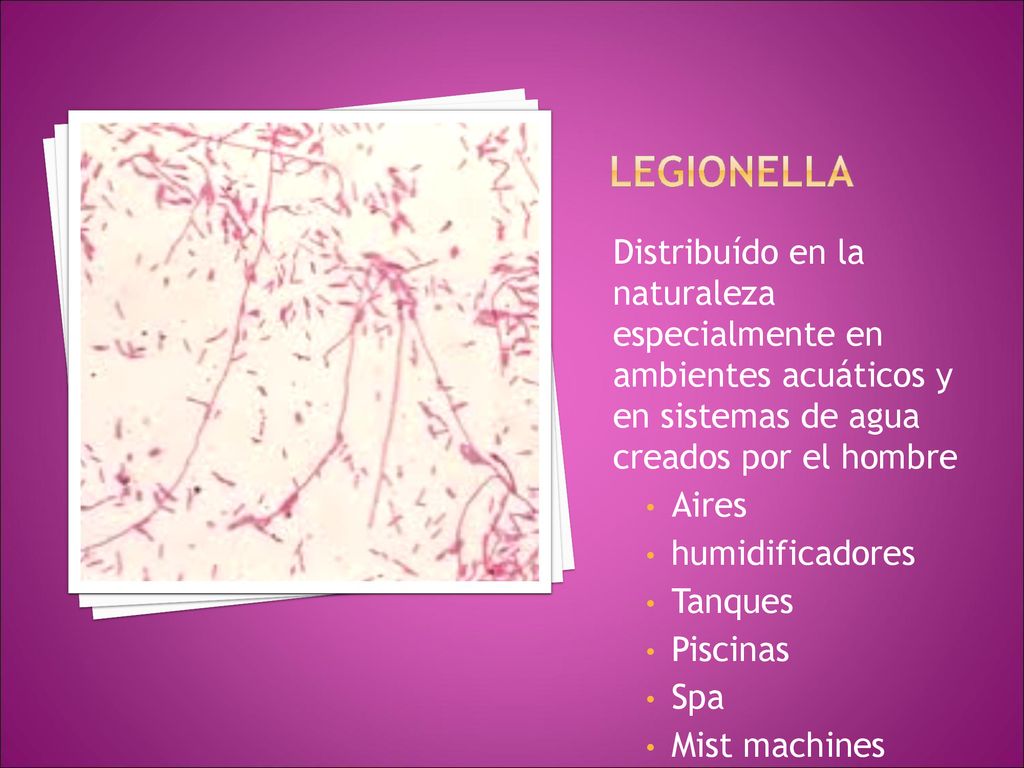Legionella Distribuído en la naturaleza especialmente en ambientes acuáticos y en sistemas de agua creados por el hombre.