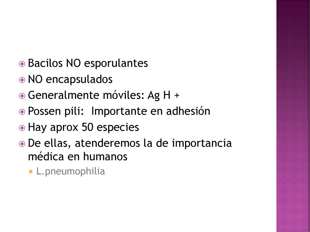 Bacilos NO esporulantes NO encapsulados Generalmente móviles: Ag H +