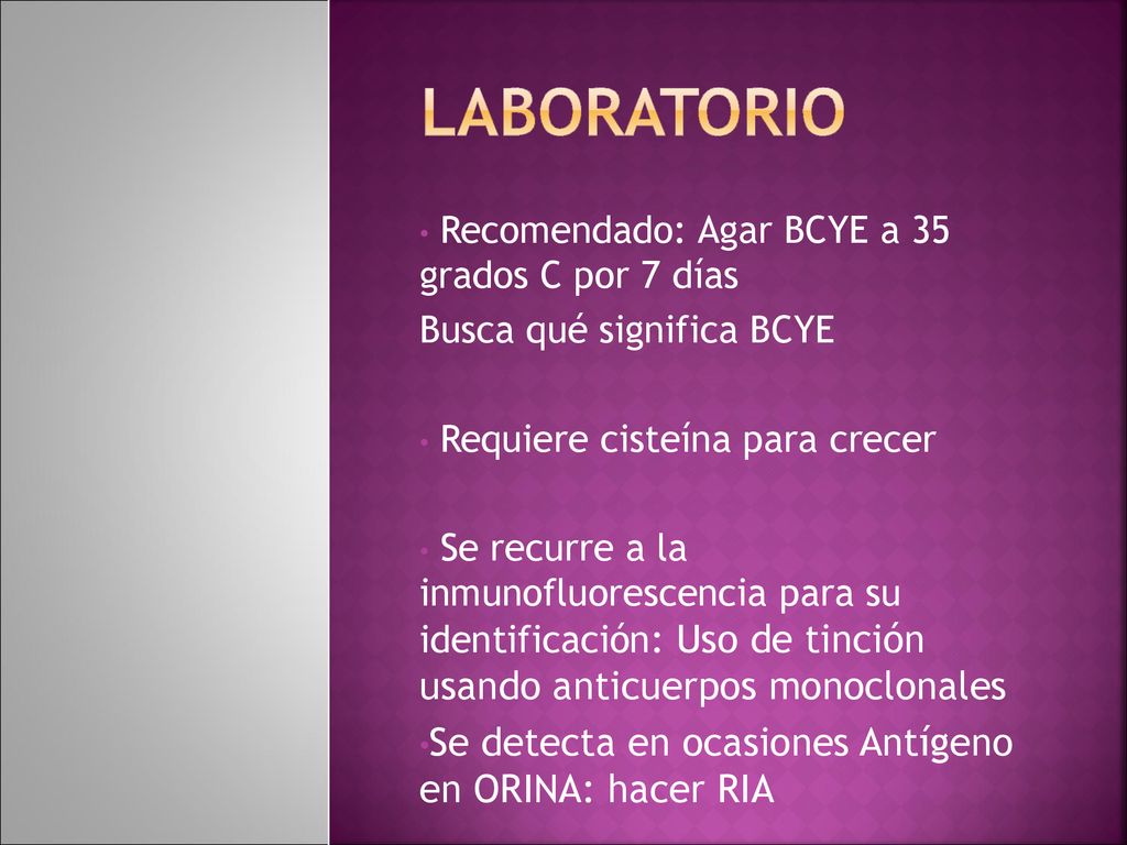 LabORATORIO Se detecta en ocasiones Antígeno en ORINA: hacer RIA