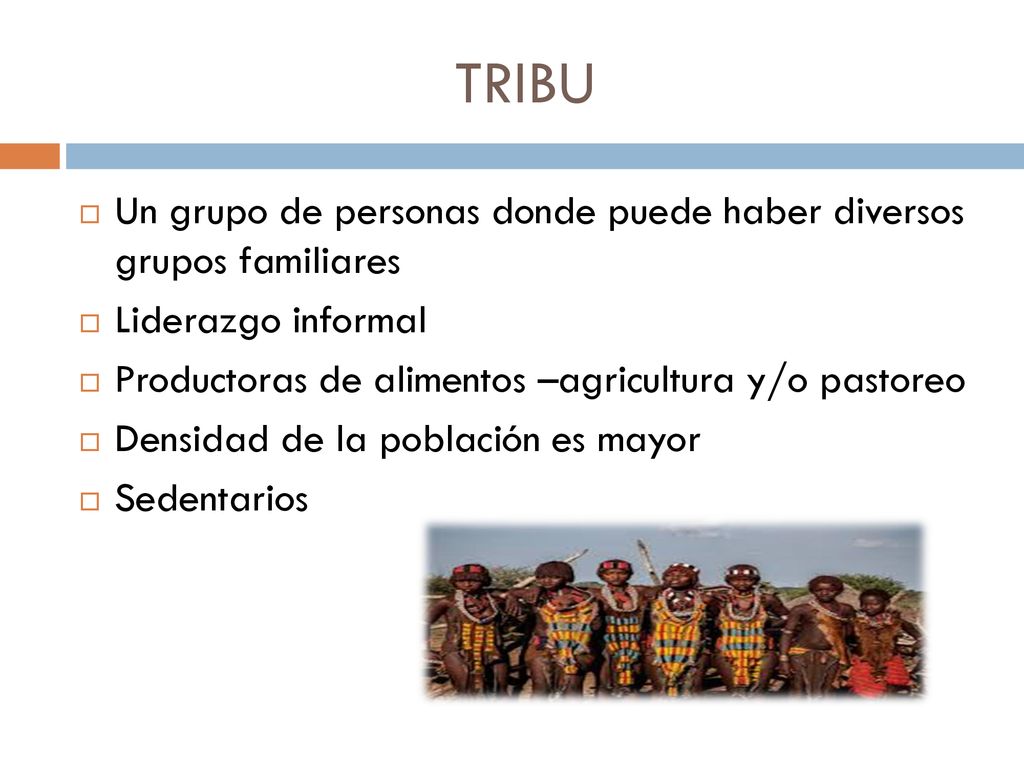 TRIBU Un grupo de personas donde puede haber diversos grupos familiares. Liderazgo informal. Productoras de alimentos –agricultura y/o pastoreo.