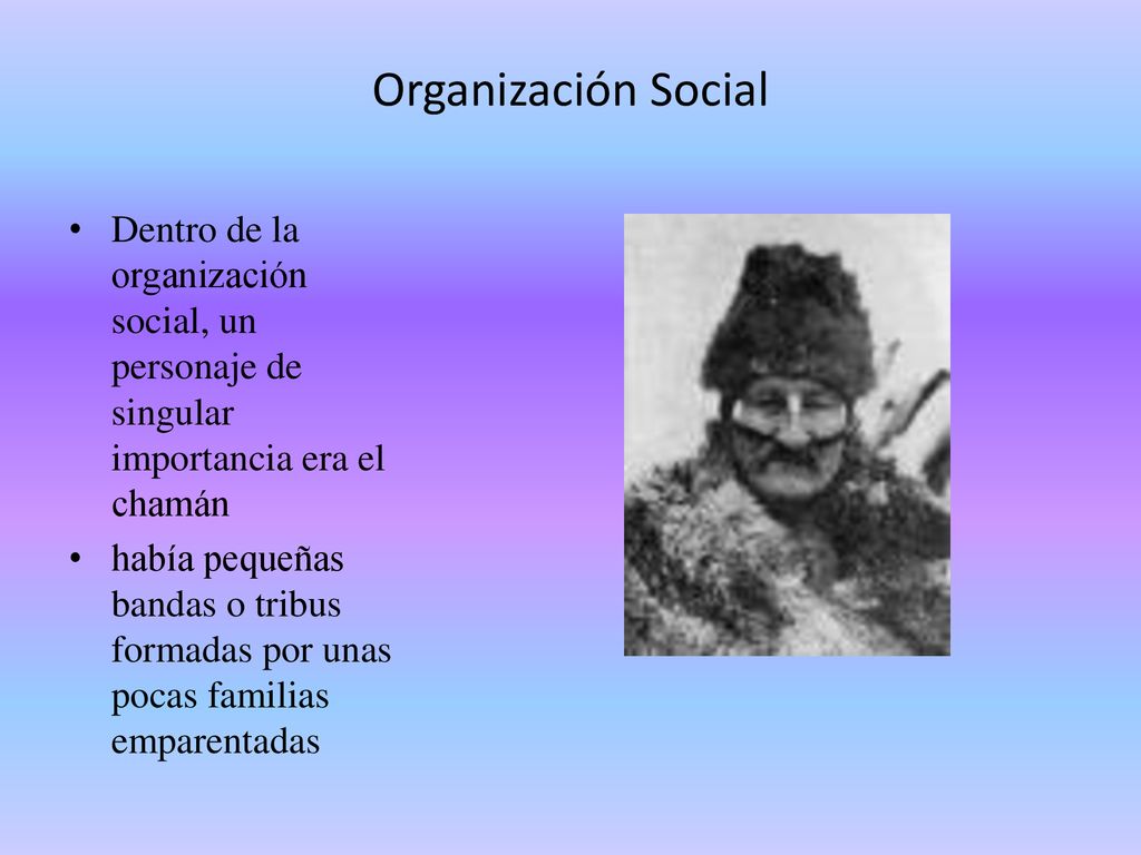 Organización Social Dentro de la organización social, un personaje de singular importancia era el chamán.