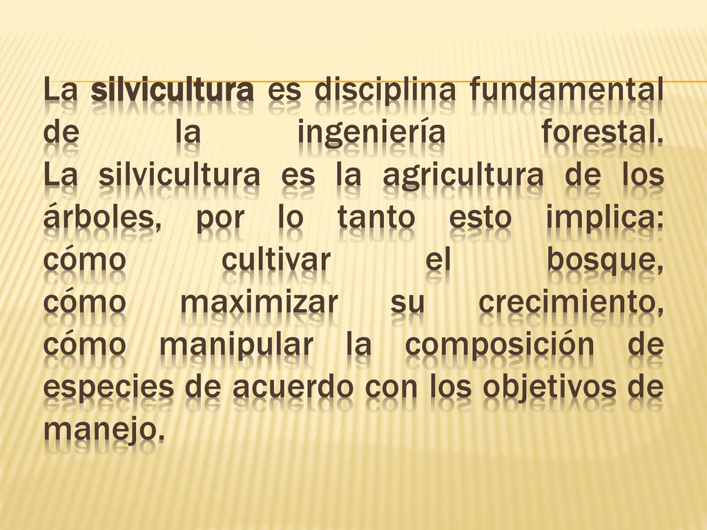 La silvicultura es disciplina fundamental de la ingeniería forestal