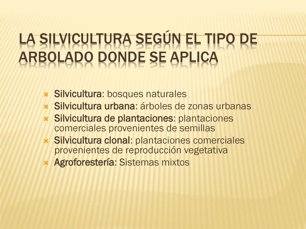 La silvicultura según el tipo de arbolado donde se aplica