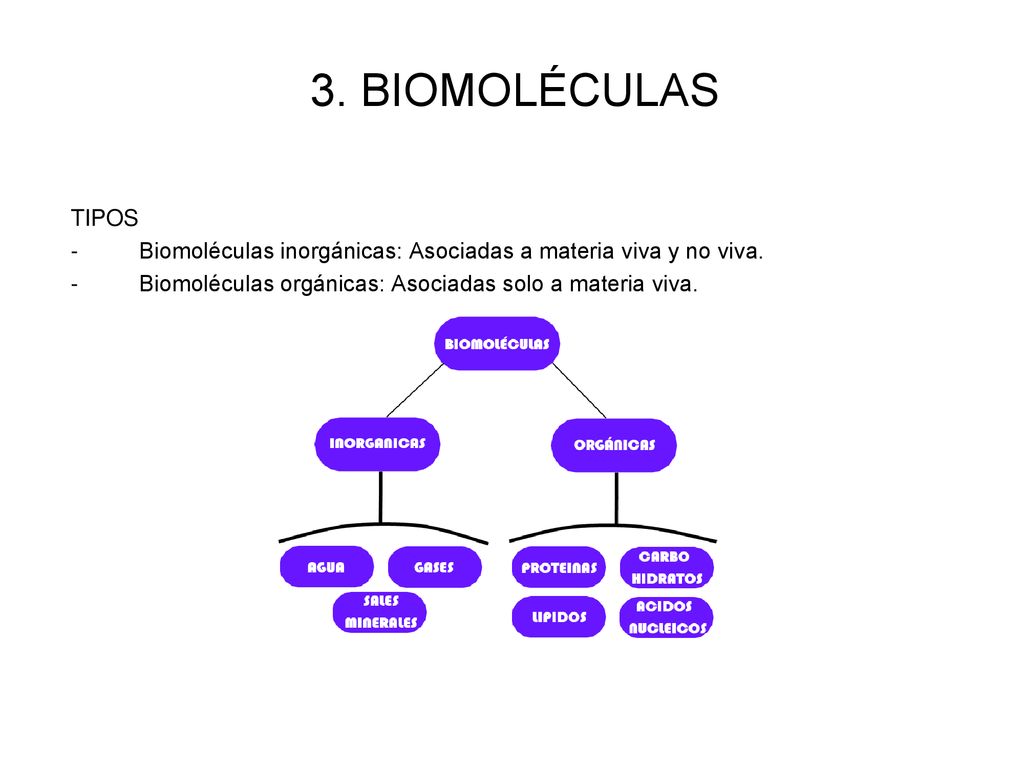 3. BIOMOLÉCULAS TIPOS. Biomoléculas inorgánicas: Asociadas a materia viva y no viva.