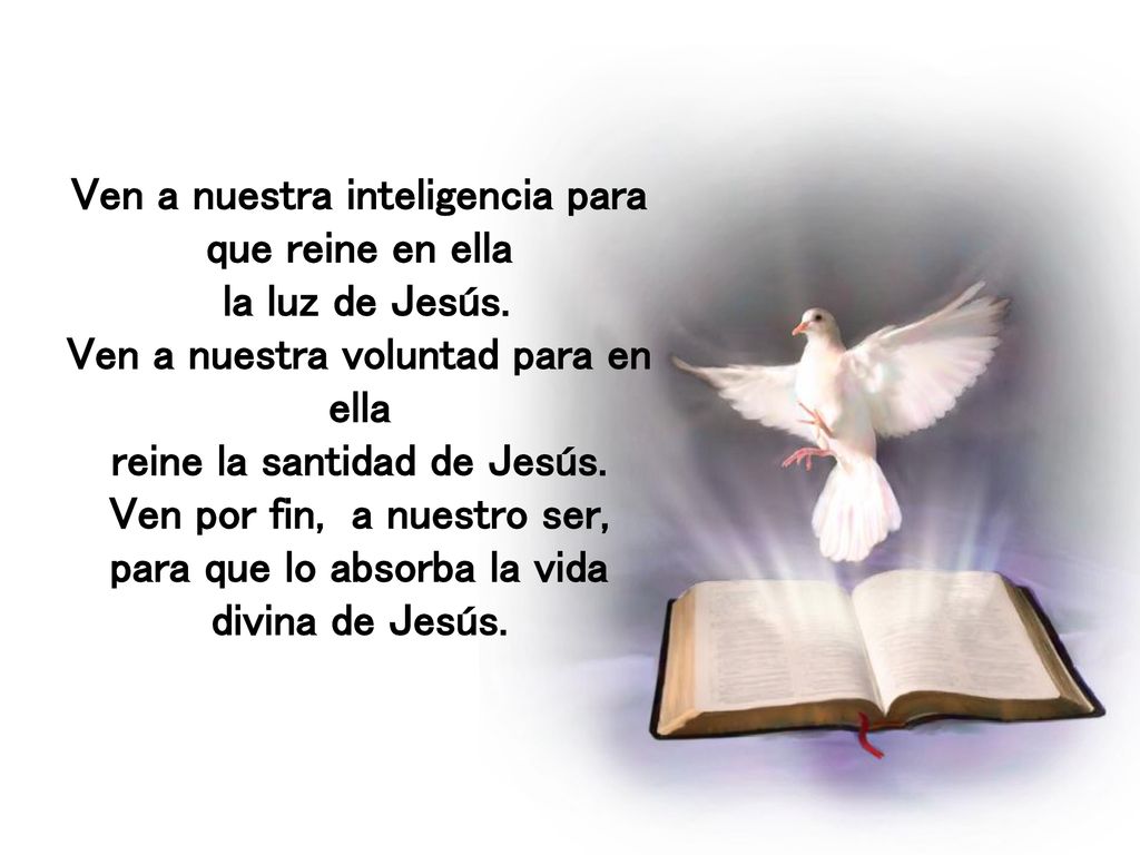 Ven a nuestra inteligencia para que reine en ella la luz de Jesús.