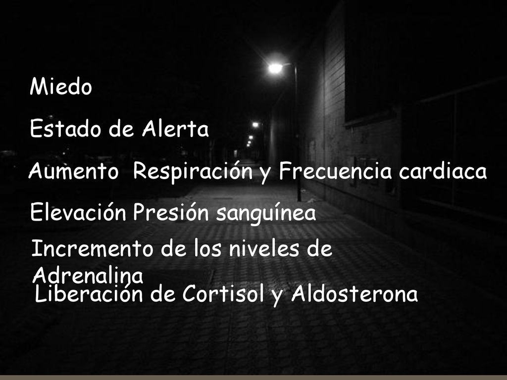 Miedo Estado de Alerta. Aumento Respiración y Frecuencia cardiaca. Elevación Presión sanguínea. Incremento de los niveles de Adrenalina.
