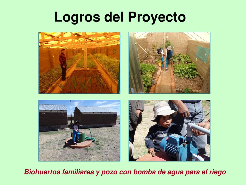 Logros del Proyecto Biohuertos familiares y pozo con bomba de agua para el riego