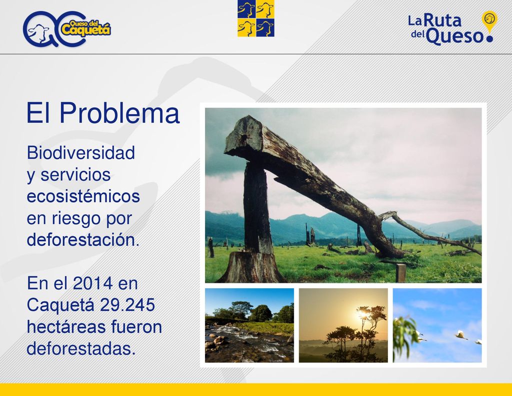 El Problema Biodiversidad y servicios ecosistémicos en riesgo por