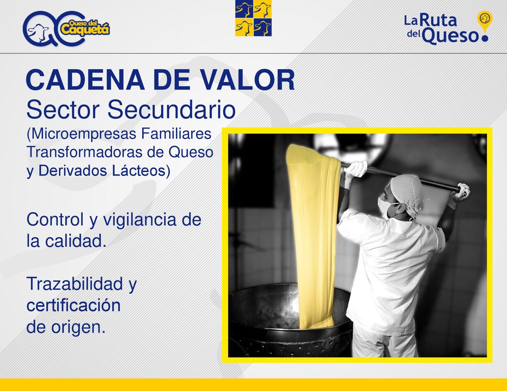 CADENA DE VALOR Sector Secundario Control y vigilancia de la calidad.